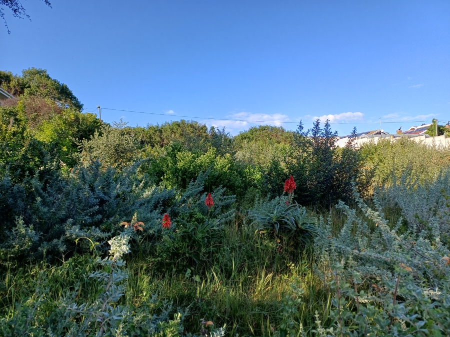0 Bedroom Property for Sale in Kingfisher Creek Western Cape
